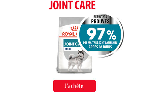 Royal Canin Canine Care Subpage - Grid Joint Care Image