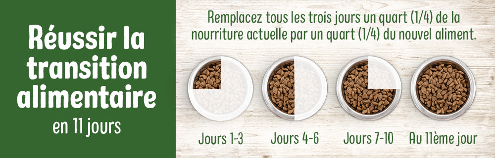 Transition alimentaire chez les chiens et les chats