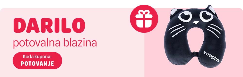 Darilo potovalna blazina. Koda kupona: POTOVANJE