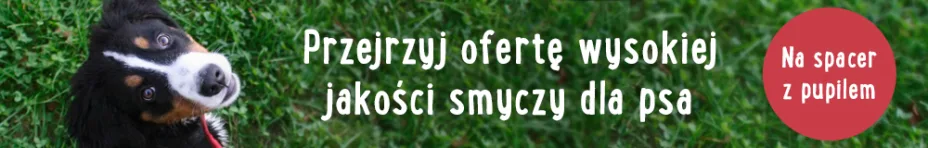 Smycze