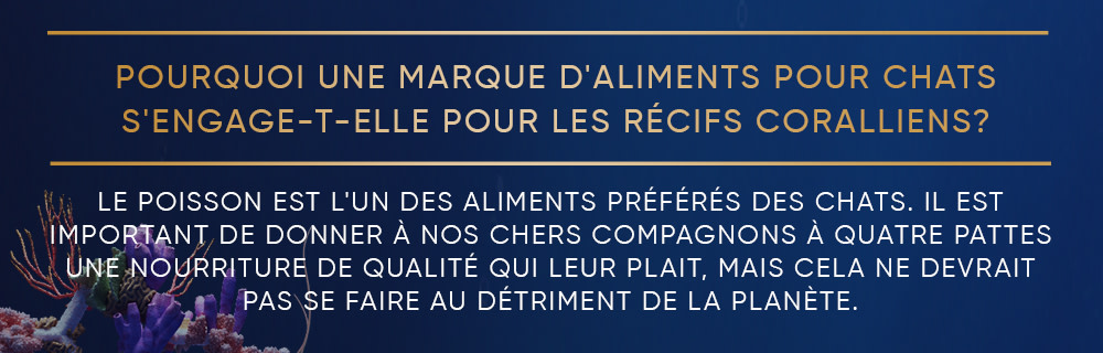 Pourquoi Sheba® s'engage-t-elle pour les récifs coralliens ?