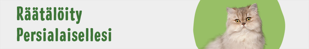 Cat Breed Persian 1000x160 FI