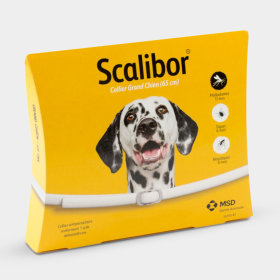 Collier antiparasitaire Scalibor pour chien