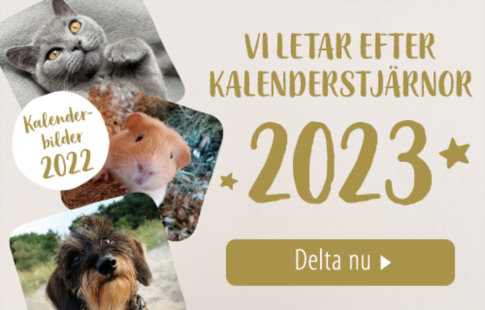Zooplus kalender 2023