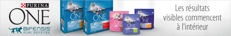 Croquettes pour chat Purina ONE