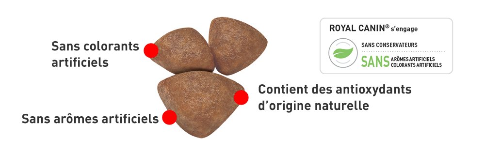 Croquettes Royal Canin pour chiot