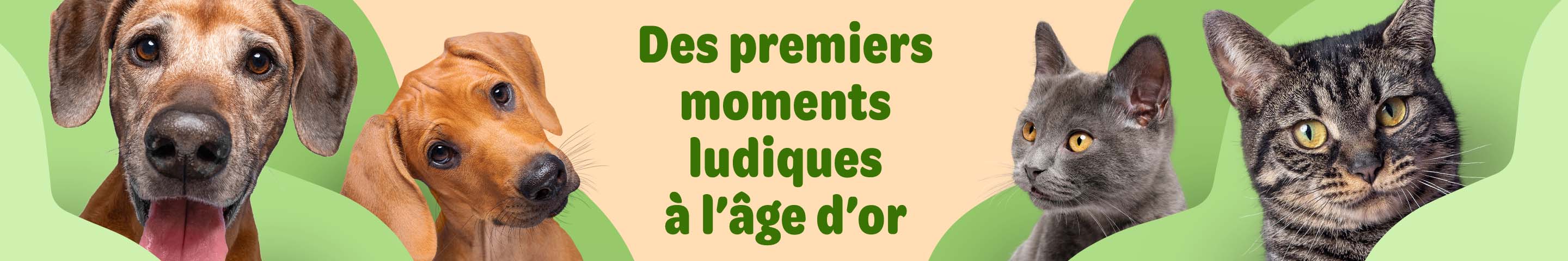 Lifestages pour chien