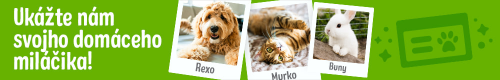 Ukážte nám svojho domáceho miláčia