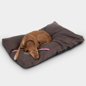 Coussin pour chien