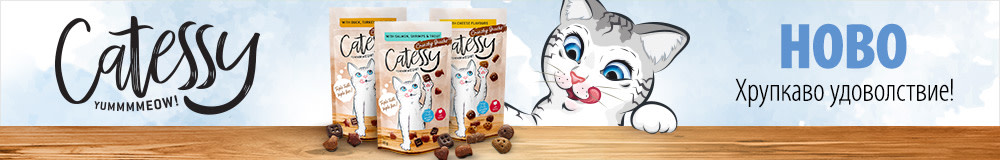 Catessy Crunchy Snacks