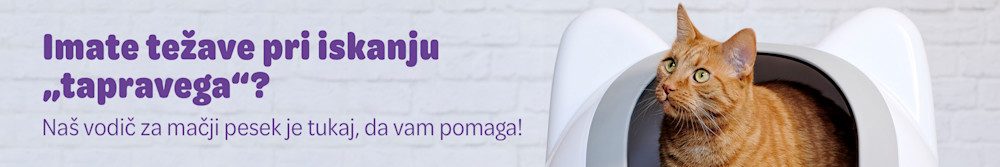 Naš vodiš za mačji pesek - izberite pravega za vašo mačko!