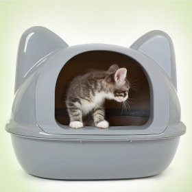 Maisons de toilette & bacs à litière pour chaton