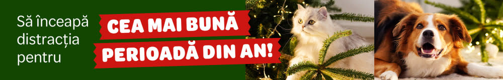 Descoperă 🎄 Târgul de Crăciun 2024 🎅🎁