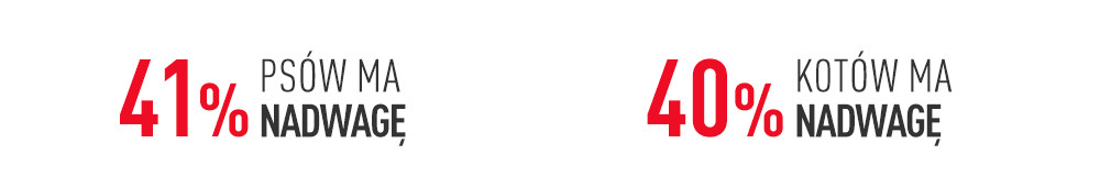 Royal Canin Weight Management Middle Banner 2