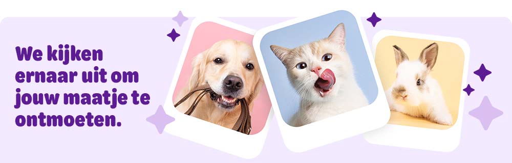 We maken graag kennis met jouw huisdier!