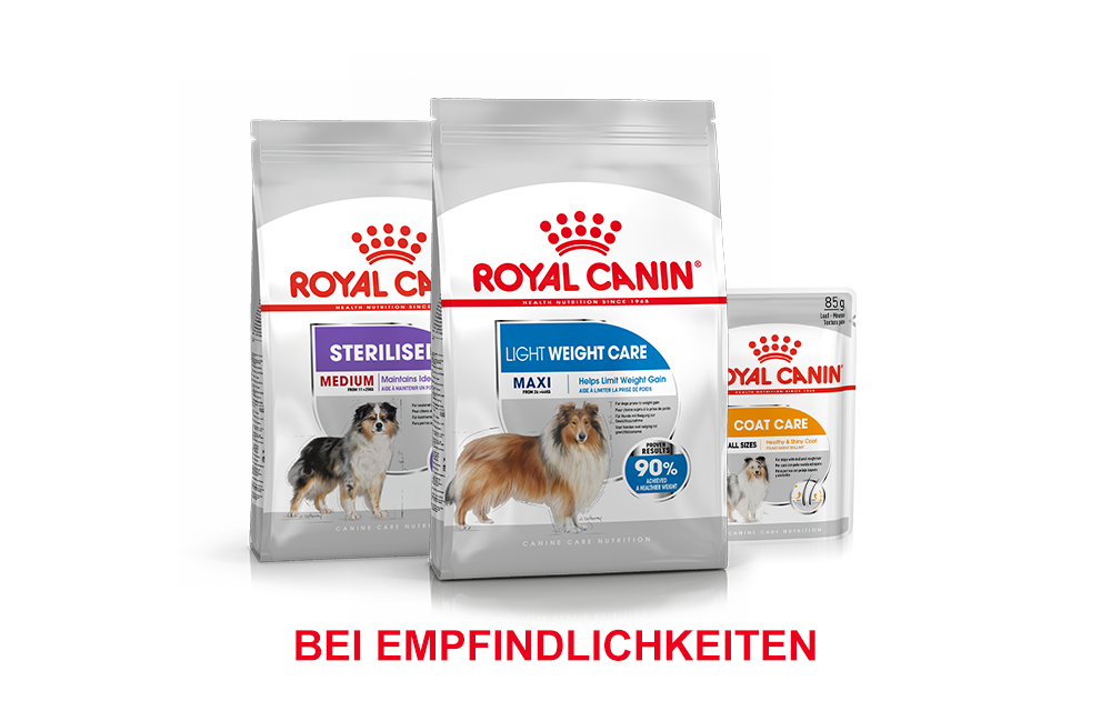 Royal Canin Hundefutter günstig bei zooplus kaufen
