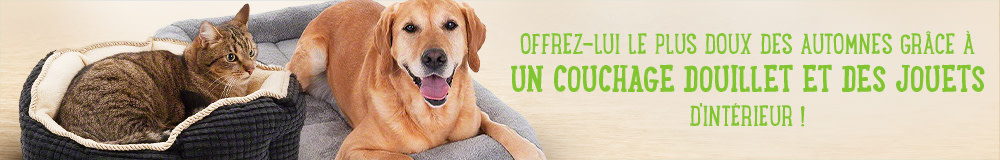 Couchages, jouets pour chien et chat, arbres à chat