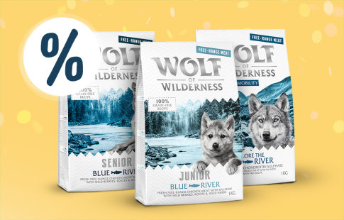 Erbjudande på Wolf of Wilderness