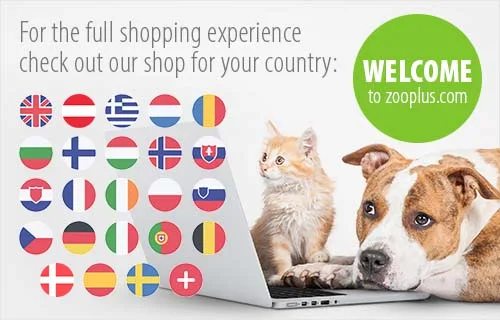 Special offers on pet supplies online