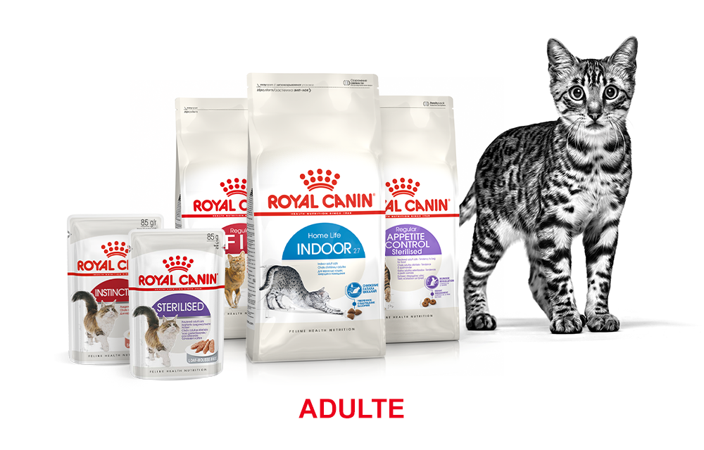 boutique-royal-canin-pour-chat-zooplus