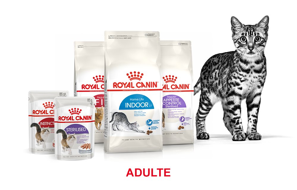 Boutique Royal Canin Pour Chat Zooplus boutique-royal-canin-pour-chat-zooplus