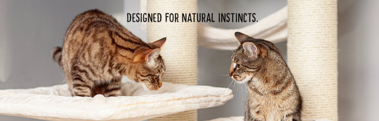 Natural Paradise oprema za mačke