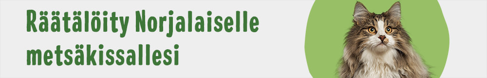 Cat Breed Norwegian Forest 1000x160 FI