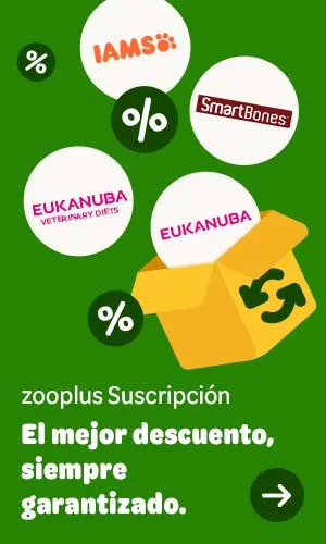 El mejor descuento garantizado en tus marcas favoritas