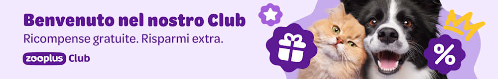 Scopri il nostro zooplus Club: sconti, vantaggi e premi solo per te!