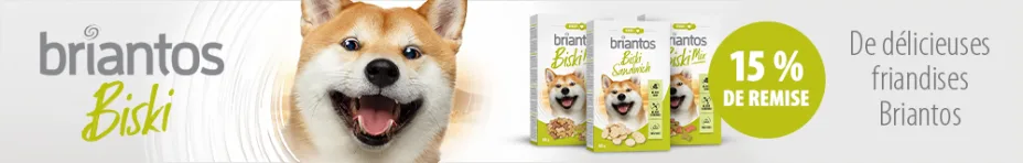 Friandises Briantos Biski pour chien : 15 % de remise !
