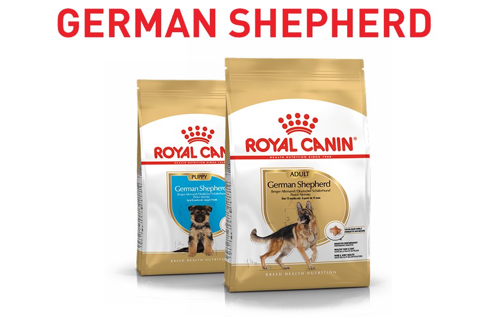 royal canin breed health nutrition