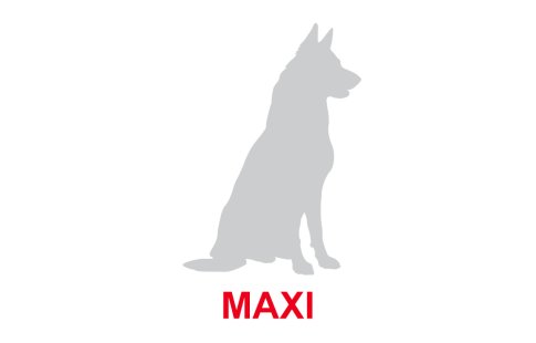 Royal Canin Maxi perros