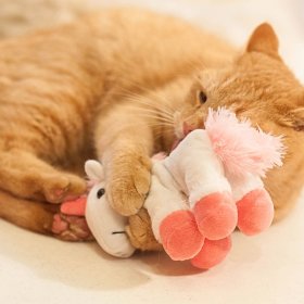 Zabawki z kocimiętka dla kota