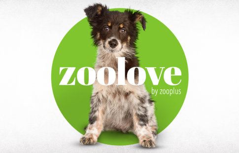 Produits zoolove pour chien ►
