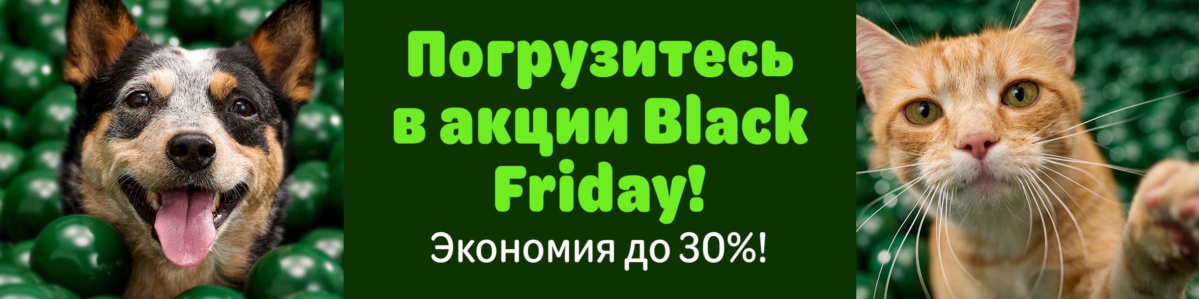 Погрузитесь в акции Black Friday! Экономия до 30%.