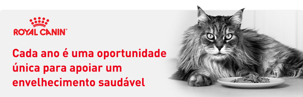 Cada ano conta para um envelhecimento saudável