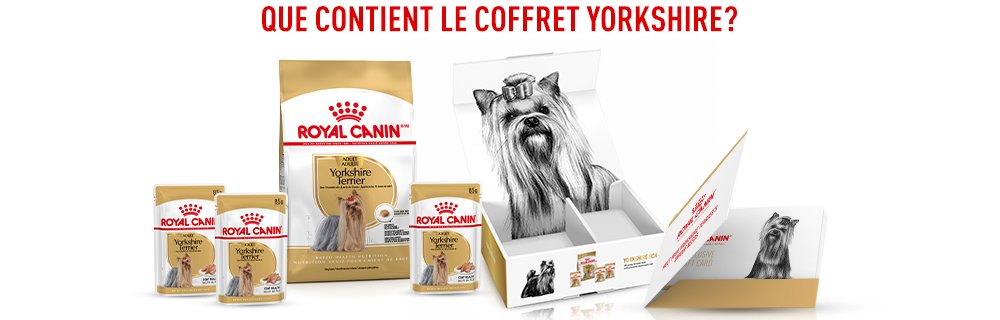 Que contient votre box Royal Canin Yorkshire ?