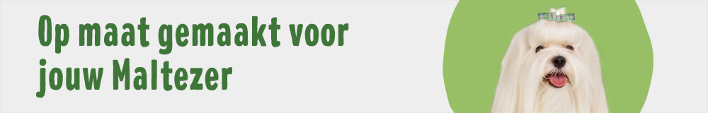 Maltezer
