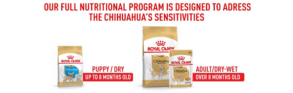 Discover all of the Royal Canin Chihuahua products
