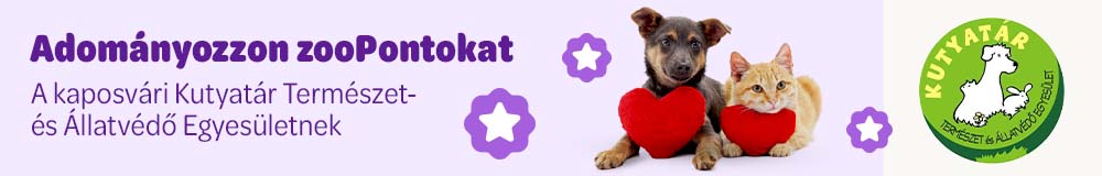 Adományozon zooPontokat a Kutyatárnak