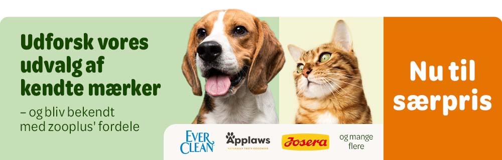 Udforsk vores udvalg af kendte mærker nu til særpris