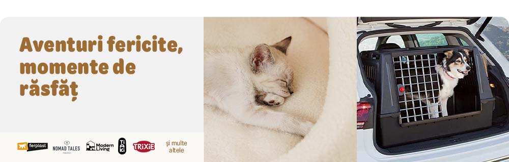 Descoperă accesorii pentru călătorii și odihnă pentru câini și pisici, acum cu până la 25% reducere.