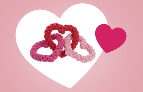 💕🐶 Rope Hearts игрушка для собак в подарок на День всех Влюблённых в zoochic