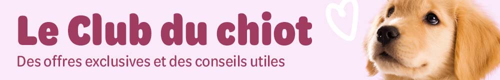 Le Club du chiot