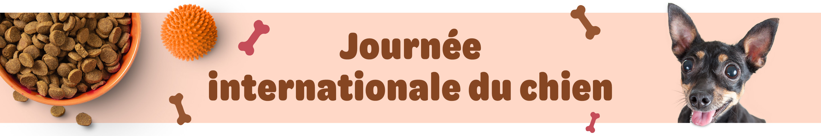 journee mondiale du chien