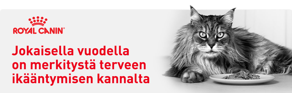 Jokaisella vuodella on merkitystä terveen ikääntymisen kannalta