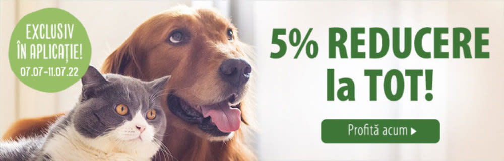 5% discount la Tooot exclusiv din Aplicație 📱!