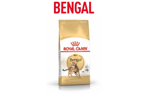 Royal Canin Feline Breed Nutrition - Autres produits de la gamme - Bengal Image