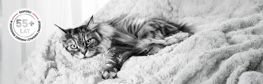 Ponad 55 lat doświadczenia w dziedzinie nauki i zdrowia zwierząt 