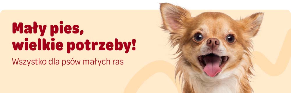 Mały pies, wielkie potrzeby! Wszystko dla psów małych ras